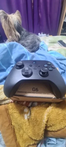 Bluetooth Wireless Game Controller for iOS, Android, PC & Switch photo review