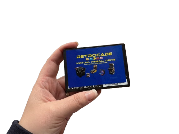 Virtual Pinball Drives at RETROCADE