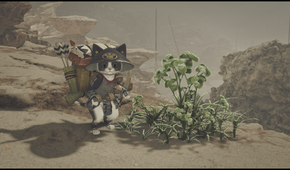 An image of a black and white Palico in Monster Hunter Wilds standing next to an herb.