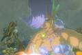 Link stands in front of a Great Fairy in Zelda: Tears of the Kingdom