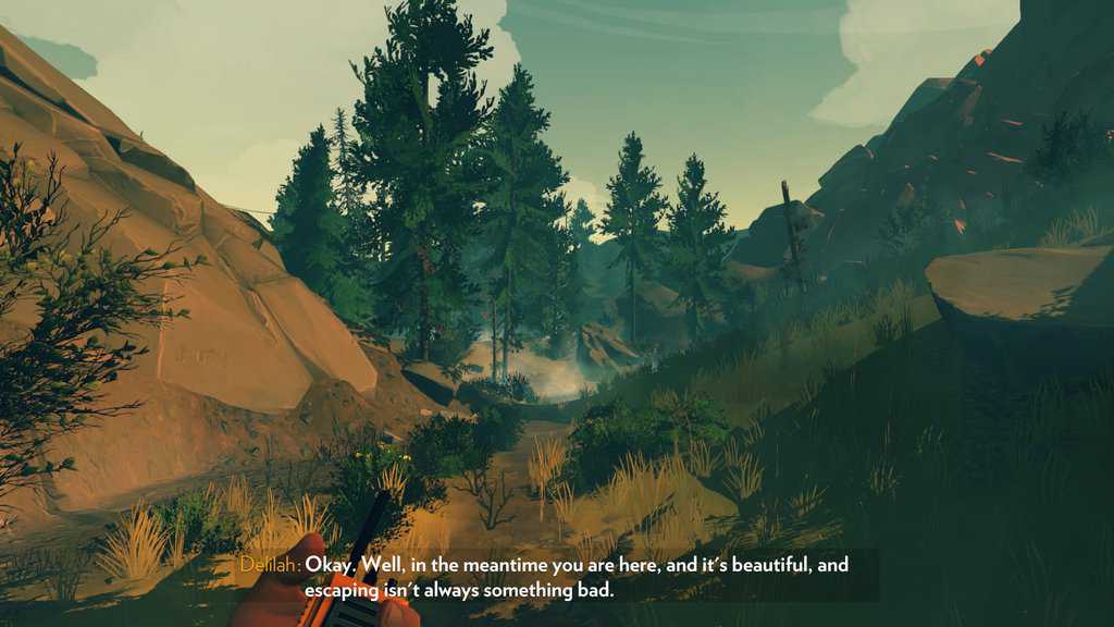 Firewatch op-ed 2