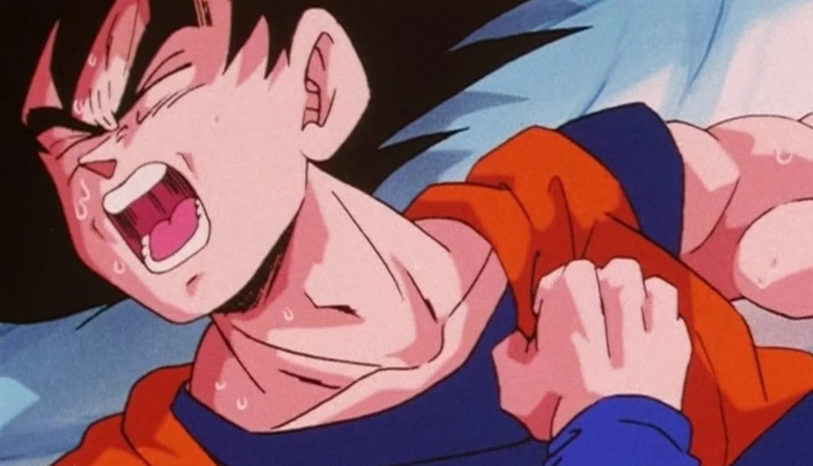 Saudi Arabia Funds $7 Billion Dragon Ball Z Theme Park in France