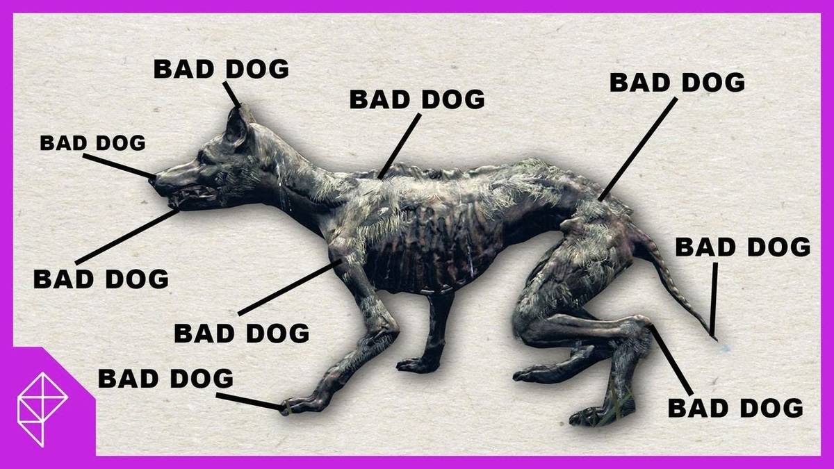 Why Elden Ring’s Dogs Are So Difficult to Fight