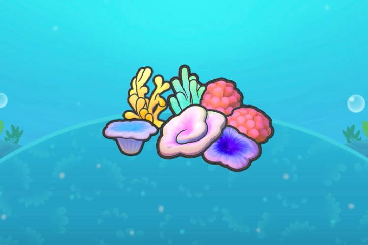 Many different types of coral together in Pokopia
