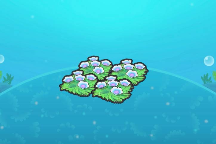 A habitat of four underwater blue flower patches in Pokopia