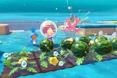 Ditto planting watermelons with corsola