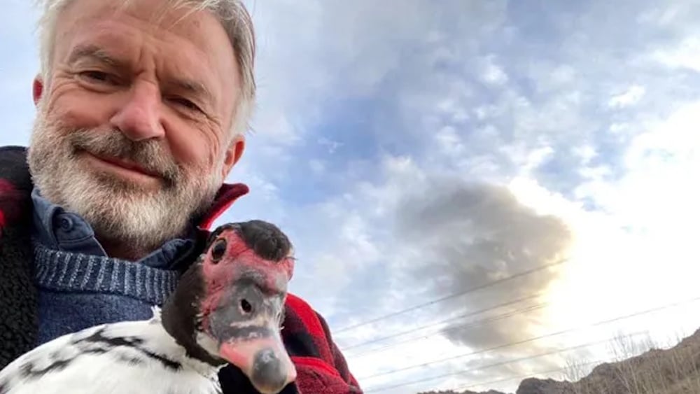 Sam Neill Duck