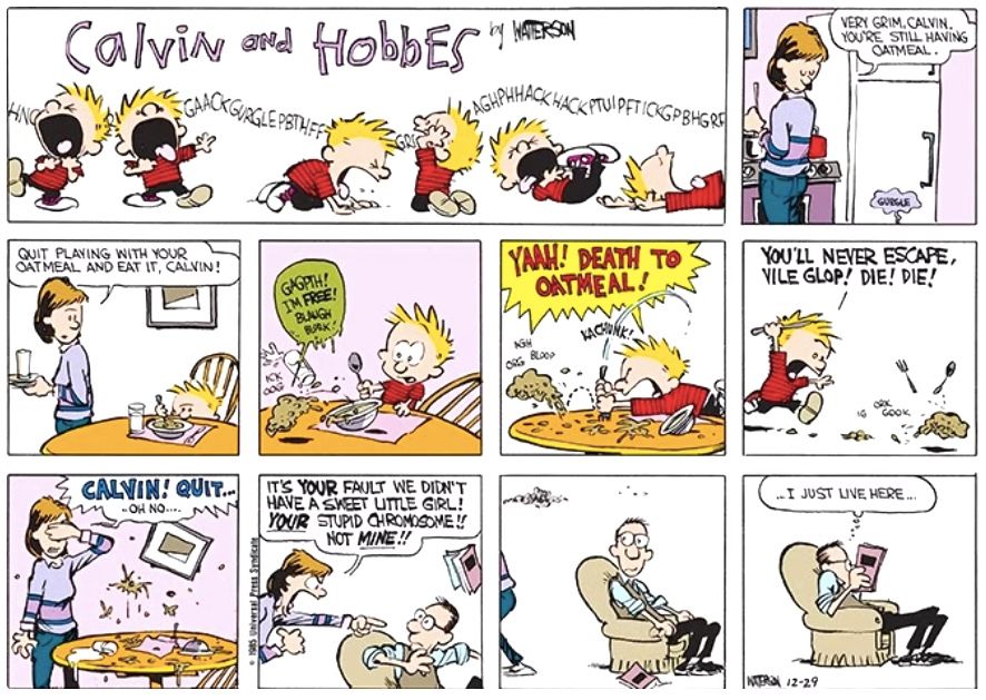 Calvin and Hobbes Mom dad