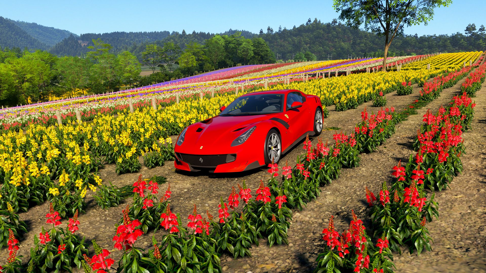 A red Ferrari car parked in a flower field in Forza Horizon 6.