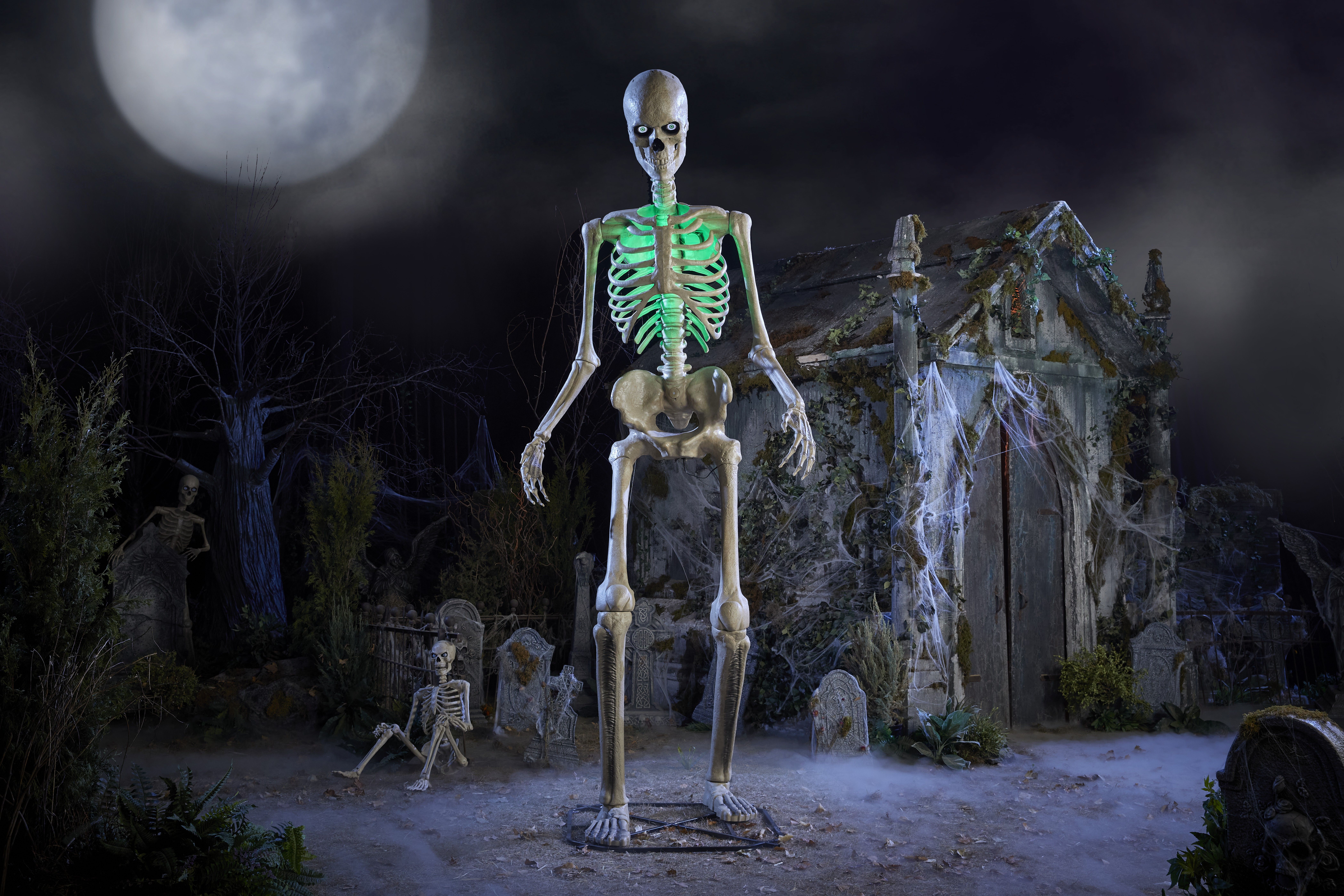 Skelly1