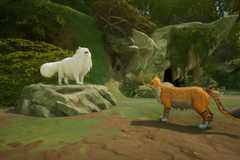 warrior cats clans of the forest still