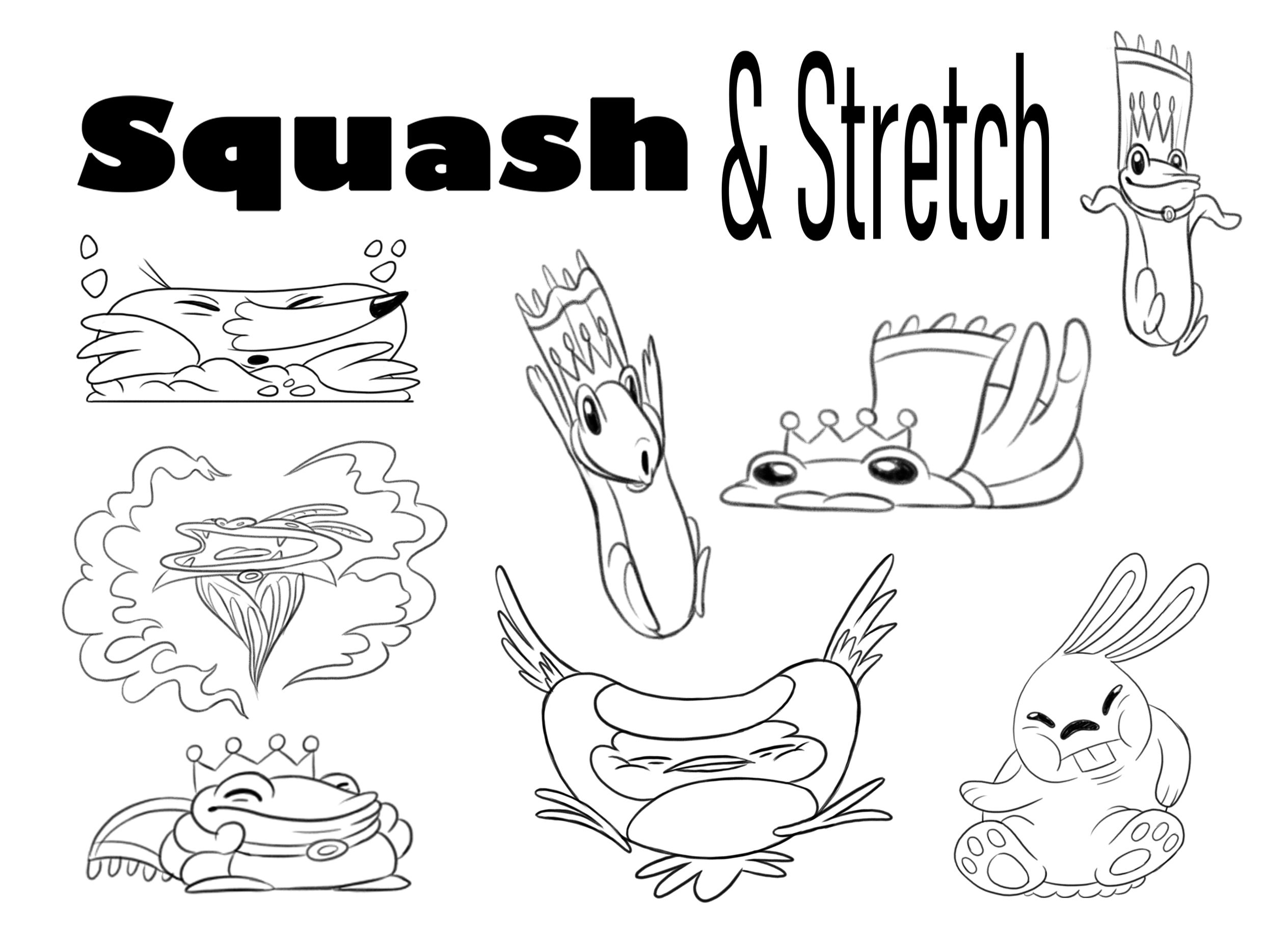 06-squashStretch