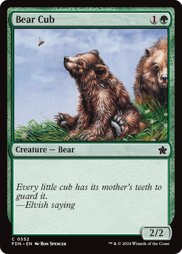 Bear Cub - Foundations 552 (d8662ebb-068b-41d2-b504-4b5854e4d4aa)