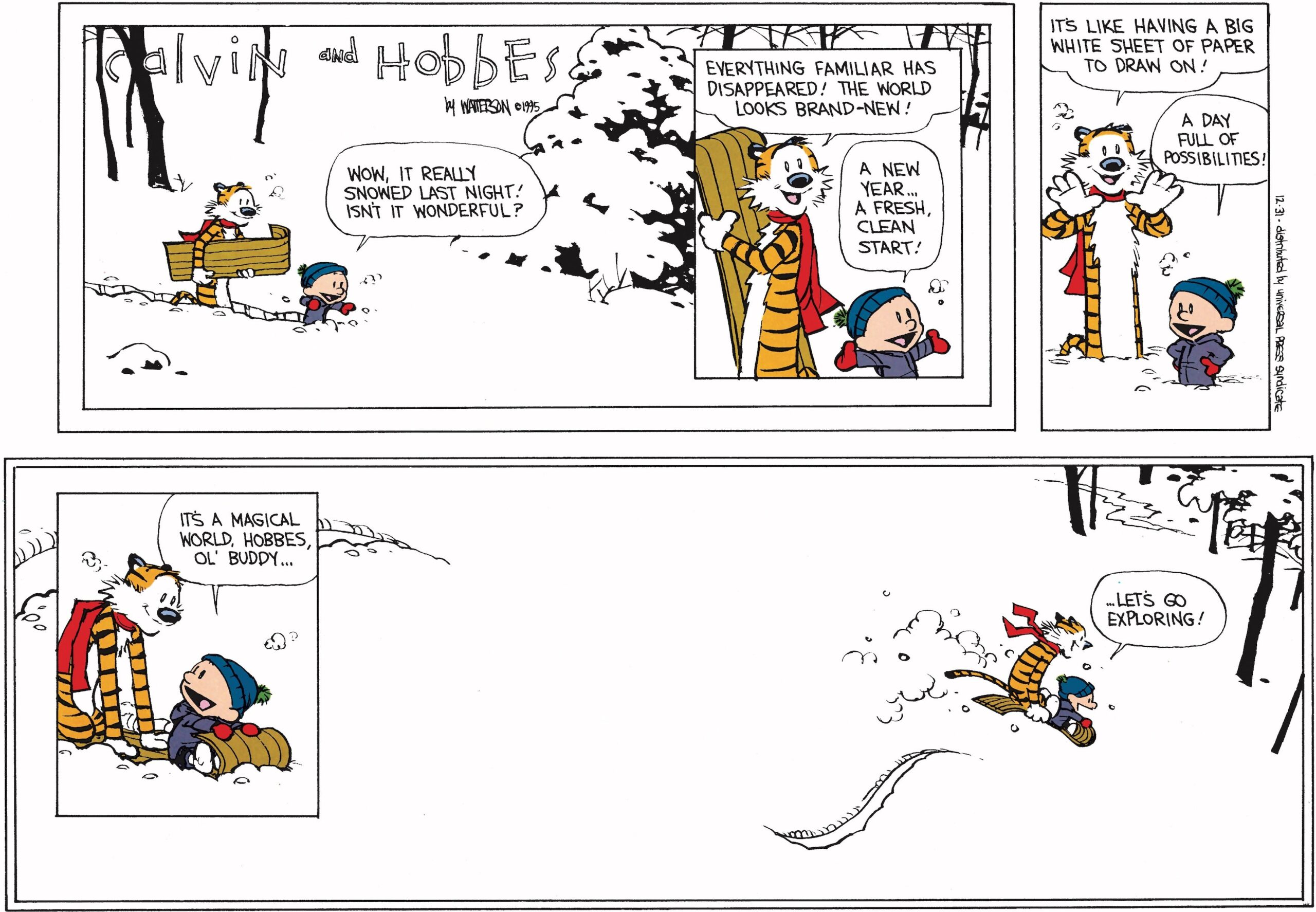 calvin and hobbes final comic strip