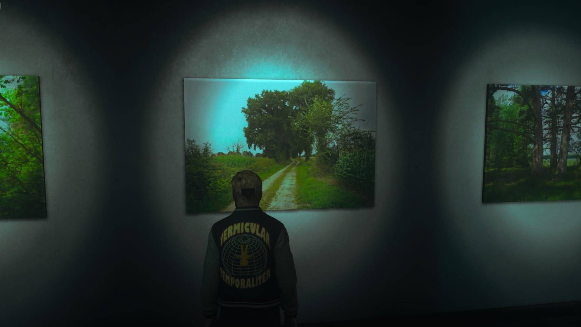 How to Solve the Echo Art Gallery Secret in Control Resonant