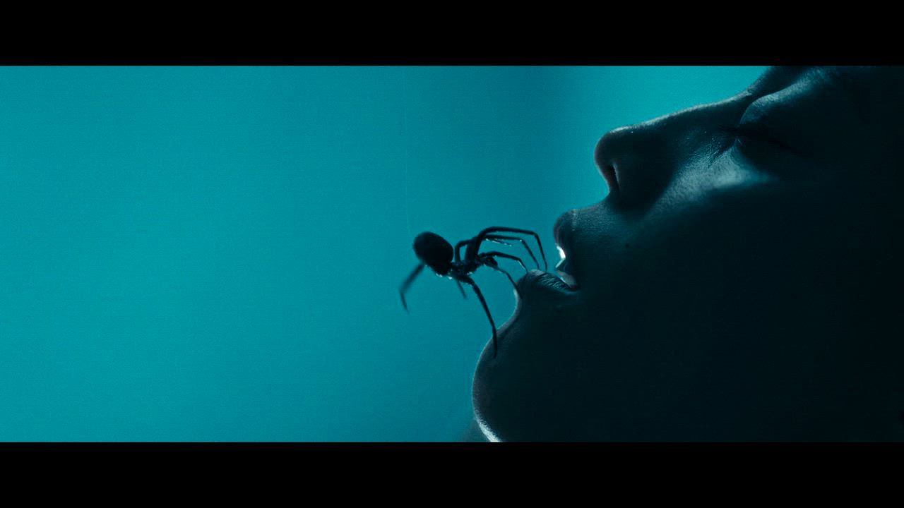 A spider crawling inside a sleeping woman's mouth in Crawlers