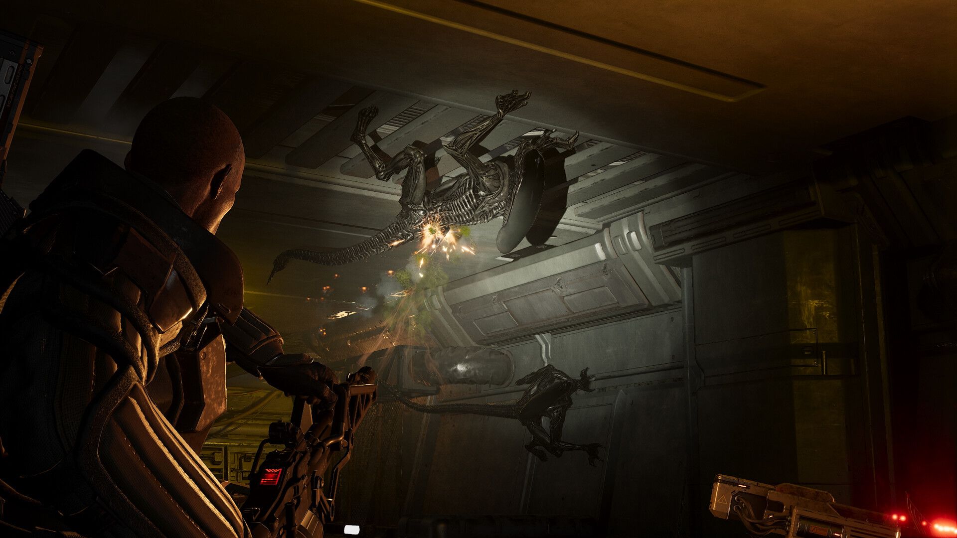 Shooting at a xenomorph climbing on the ceiling in Aliens: Fireteam Elite 2