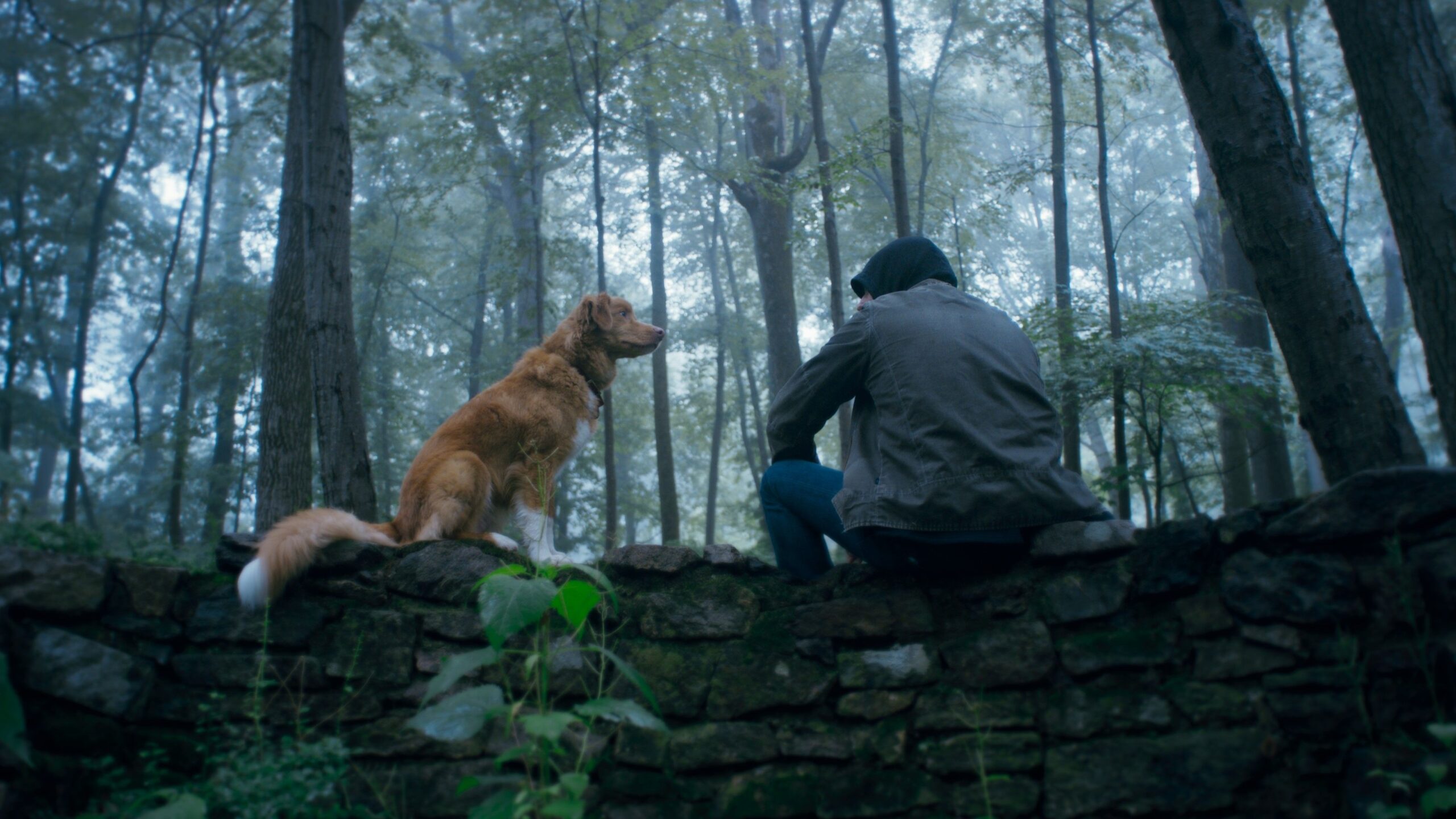 Indy the golden retriever in the woods sitting on a log alongside his owner Todd in the horror movie Good Boy
