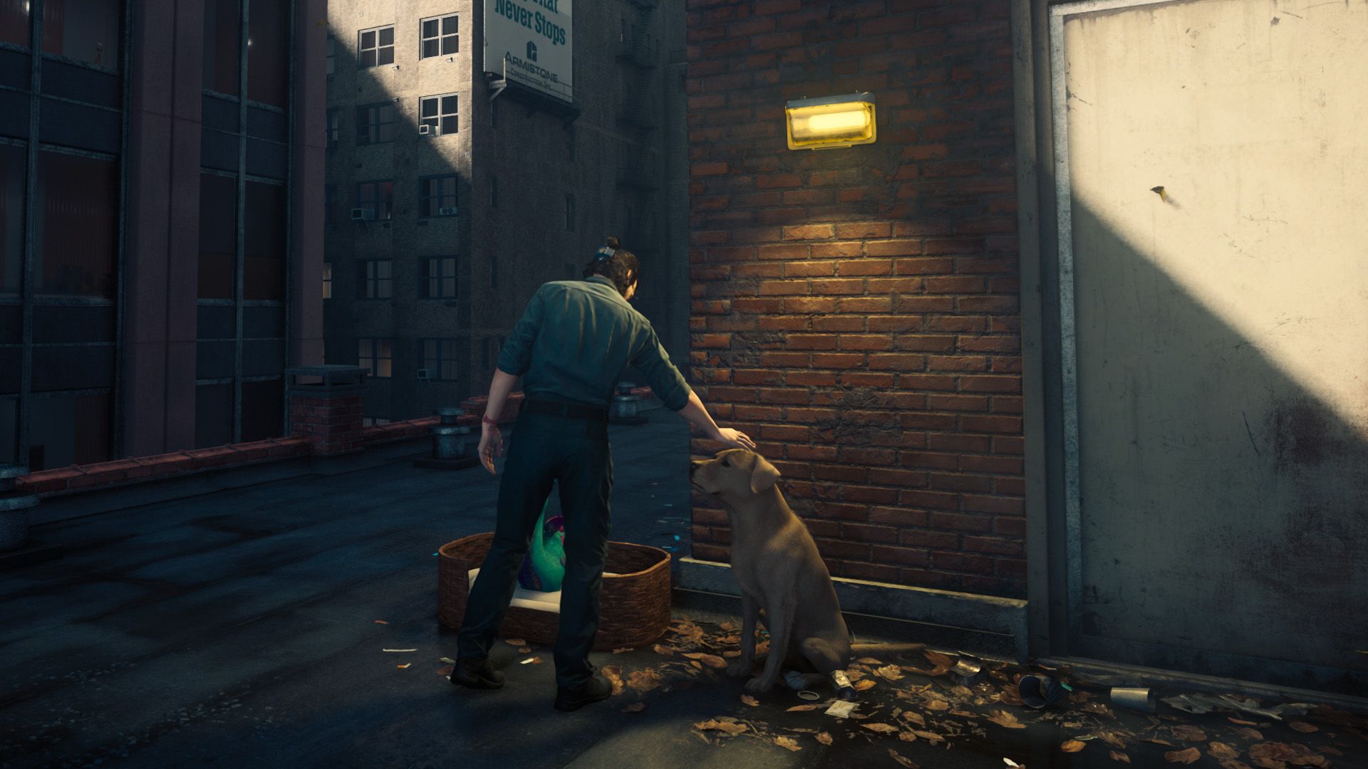 Control Resonant: Every Mysterious Dog Toy Location