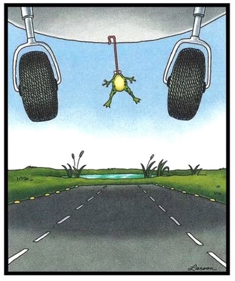 The Far Side Frog Plane