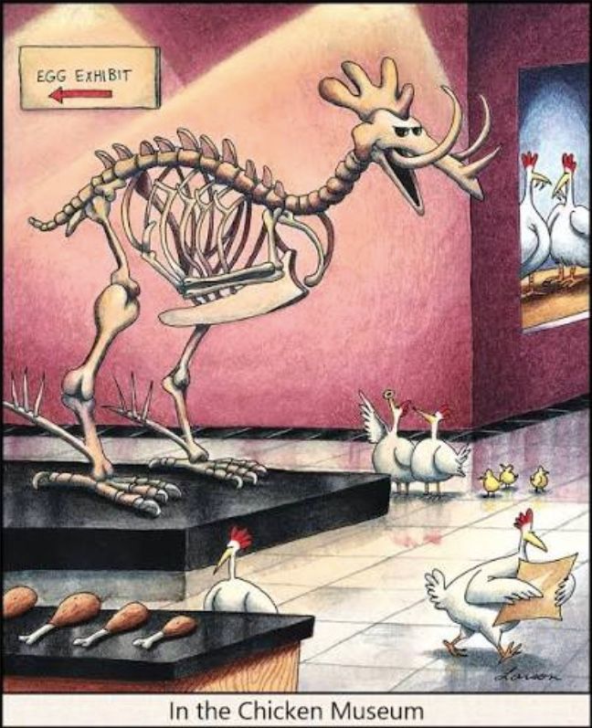 The Far Side Dinosaur Chicken