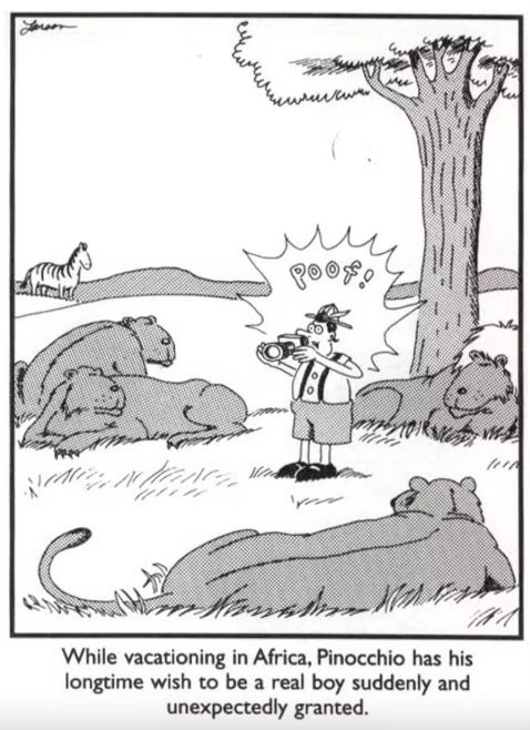 The Far Side Pinocchio
