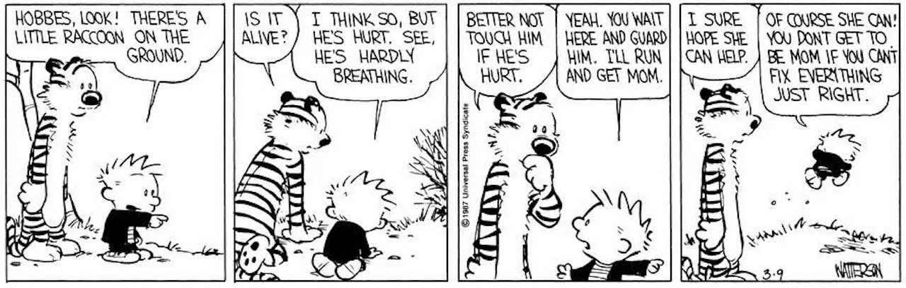 Calvin and Hobbes Raccoon