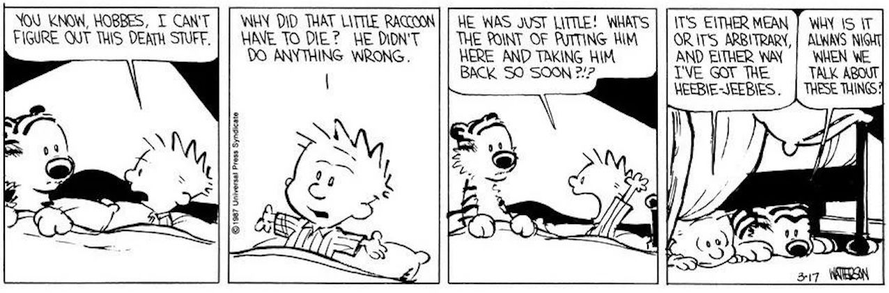 Calvin and Hobbes Raccoon