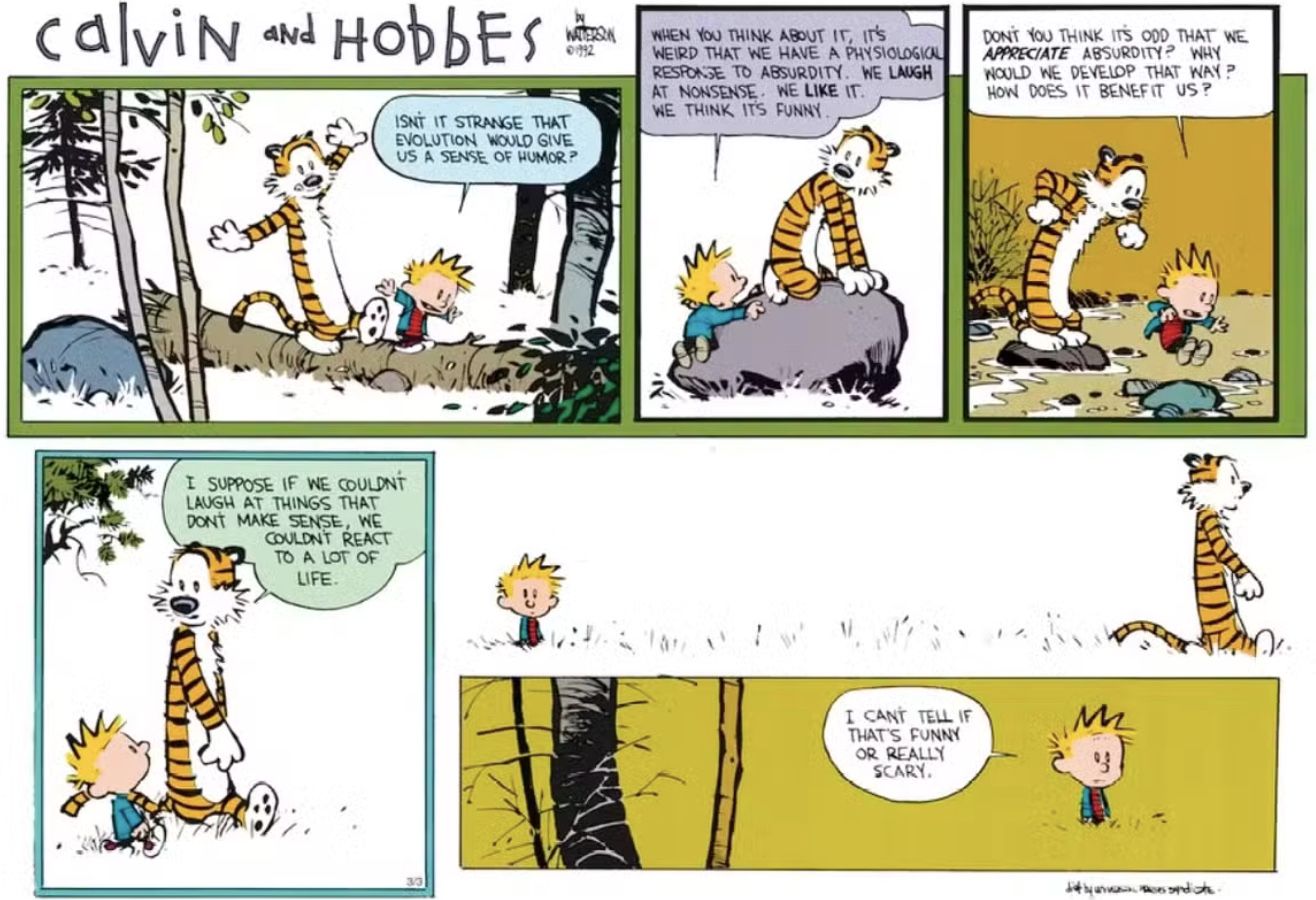 Calvin and Hobbes Life absurd