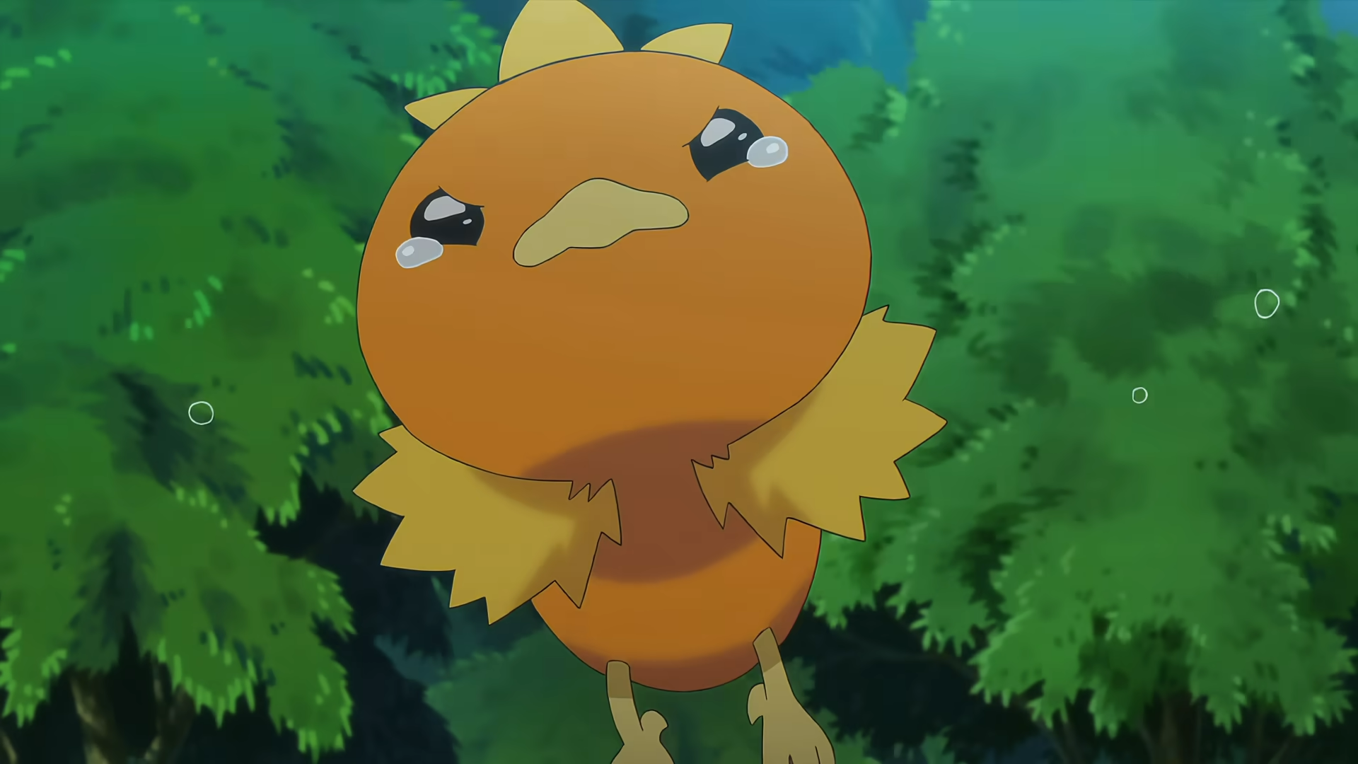Torchic Star Card Auction Could Set a Pokémon TCG Record