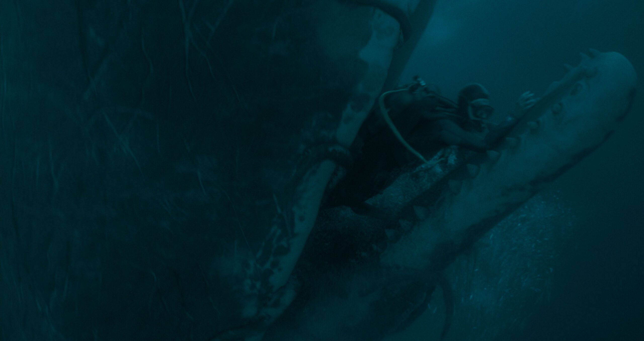 WHALEFALL-TF-4