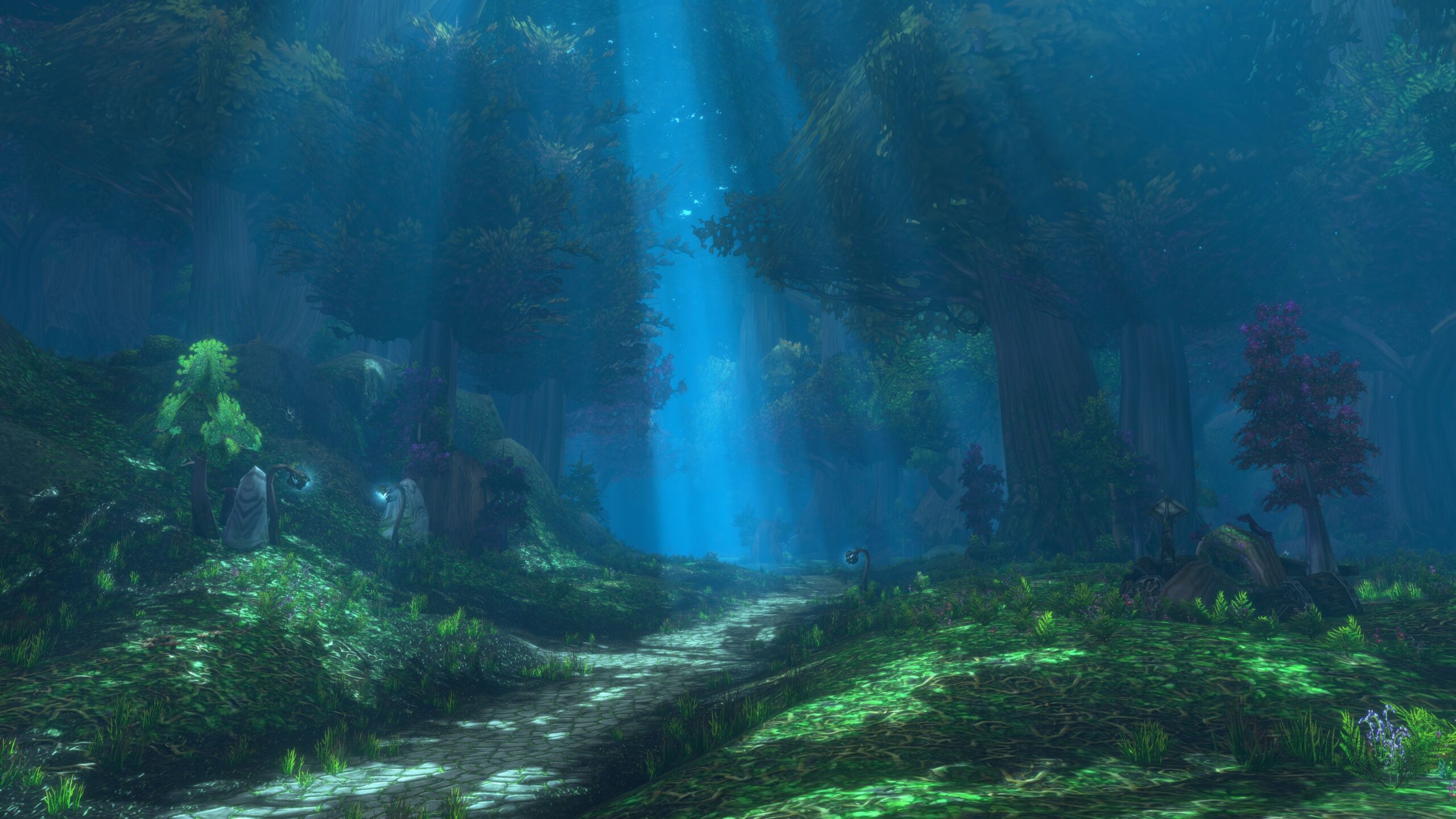moonlight streams through trees in Ashenvale forest