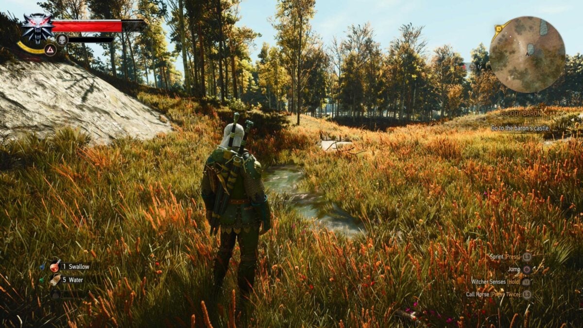 Witcher 3 Remastered Graphics Divide Players