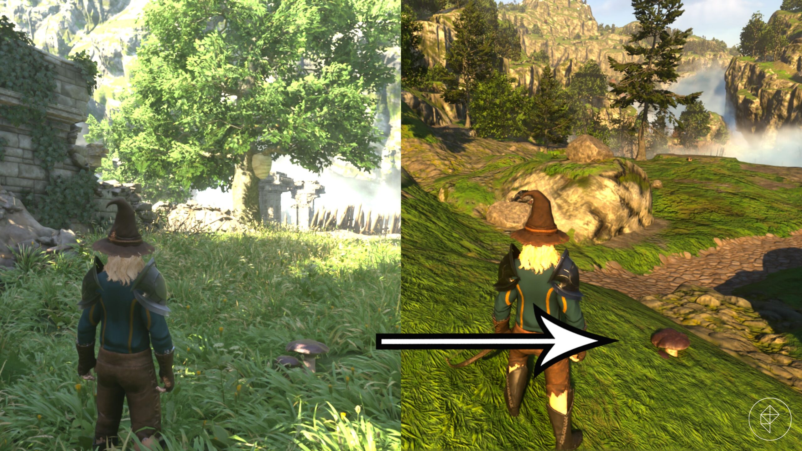A player turns off the foliage for easier penny bun farming in Enshrouded.