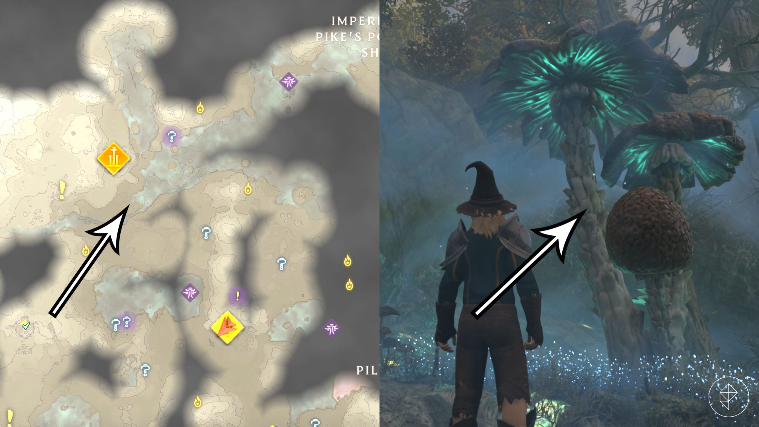 Arrows point to a good shroud mushroom farming location in Enshrouded.