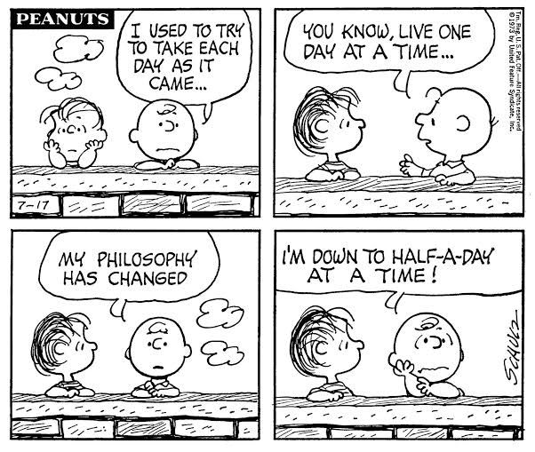 Peanuts Charlie Brown Linus life