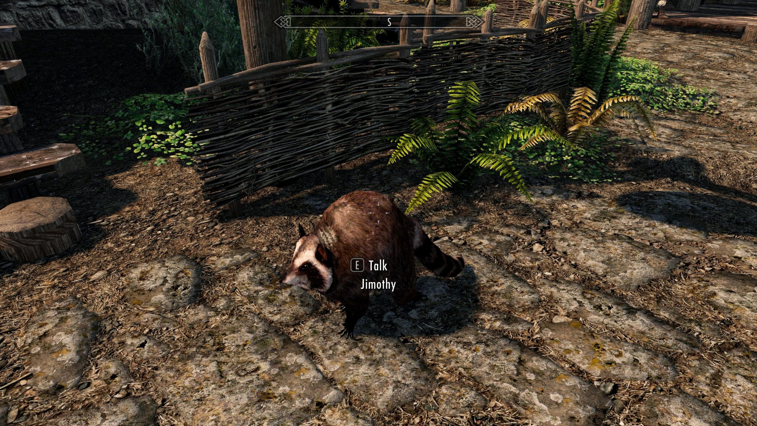 Jimothy the raccoon in Skyrim