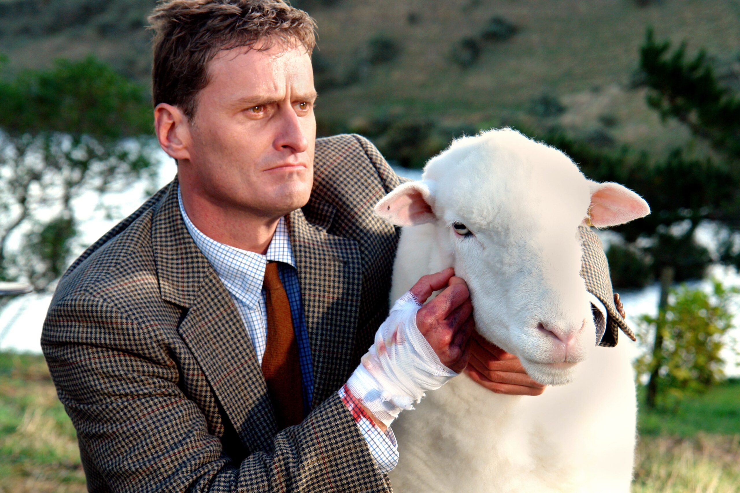 A man in a tweed suit holds the head of a white sheep.