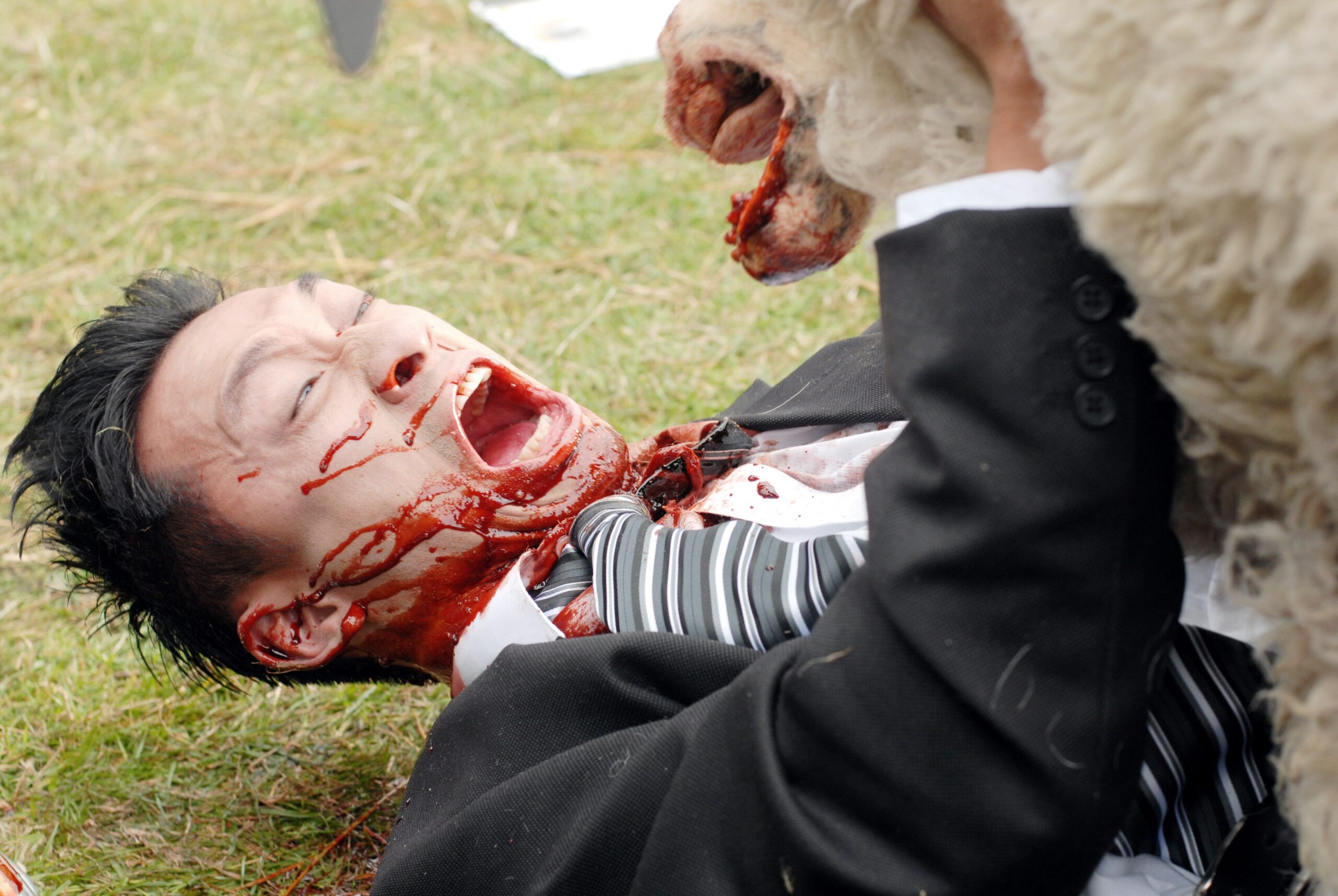 A man is mauled on by a sheep.