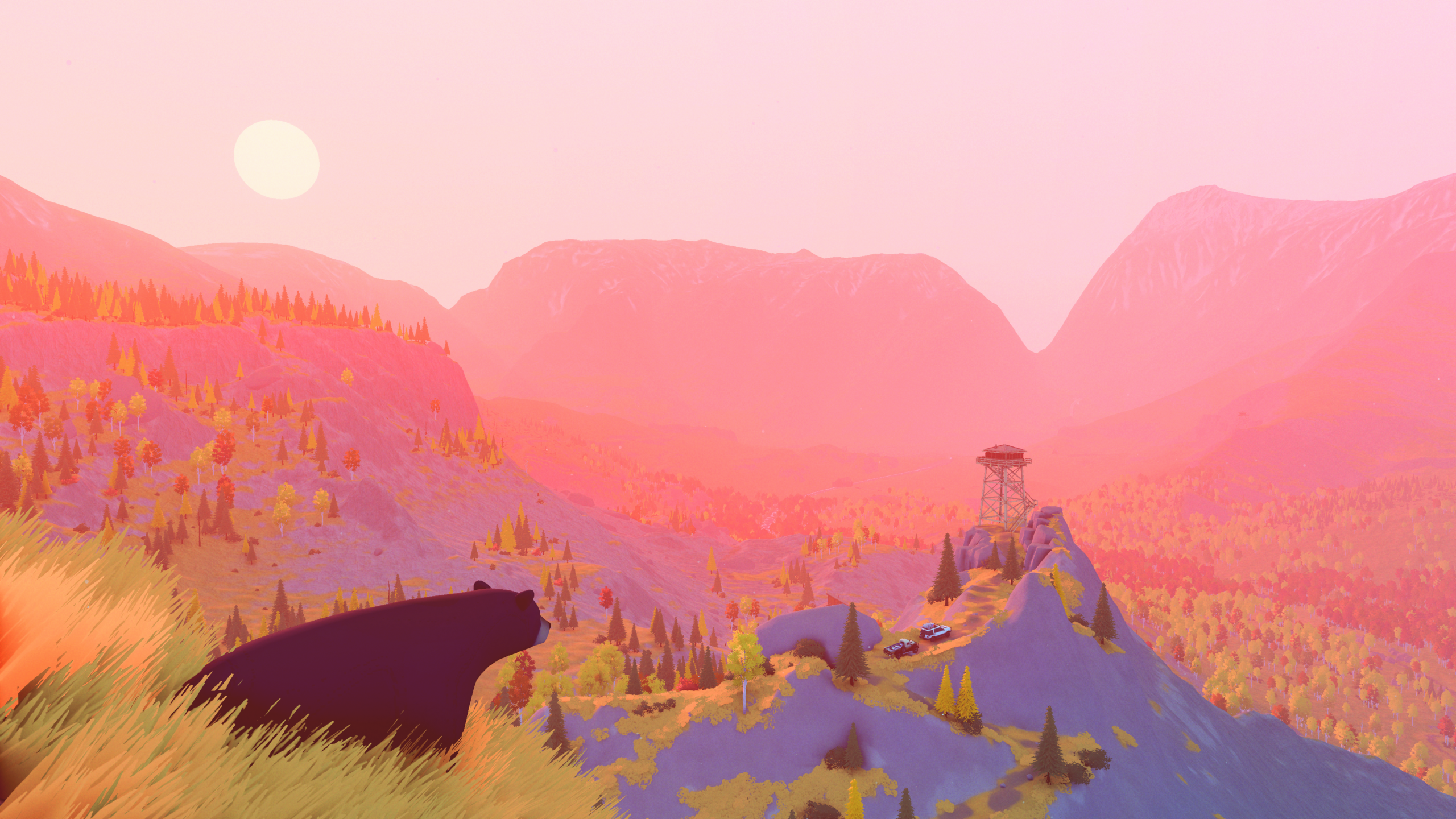 a bear watches a queue of 4x4s in the distance at sunset in the mountains