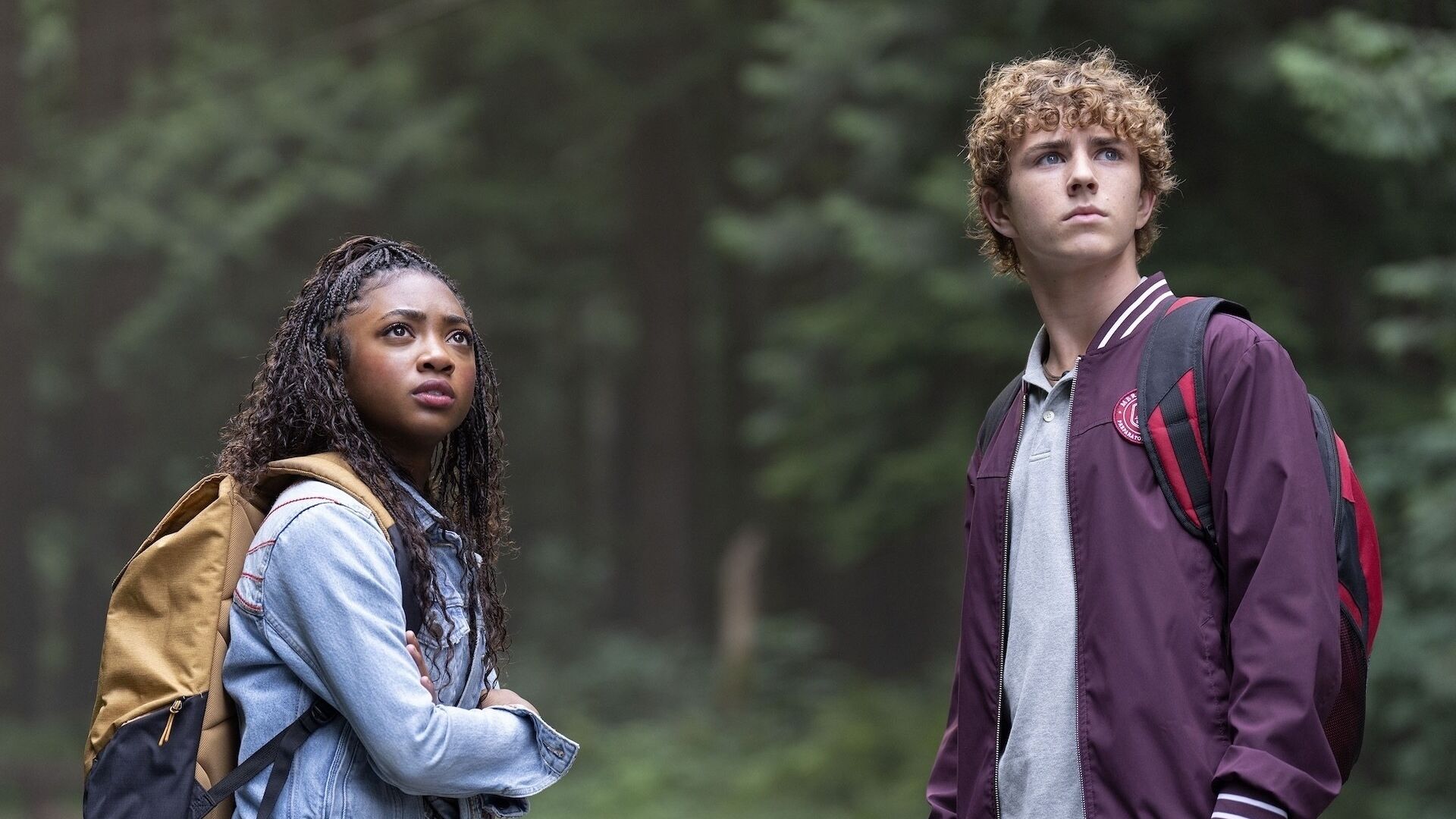 Percy Jackson and Annabeth Chase looking into the distance