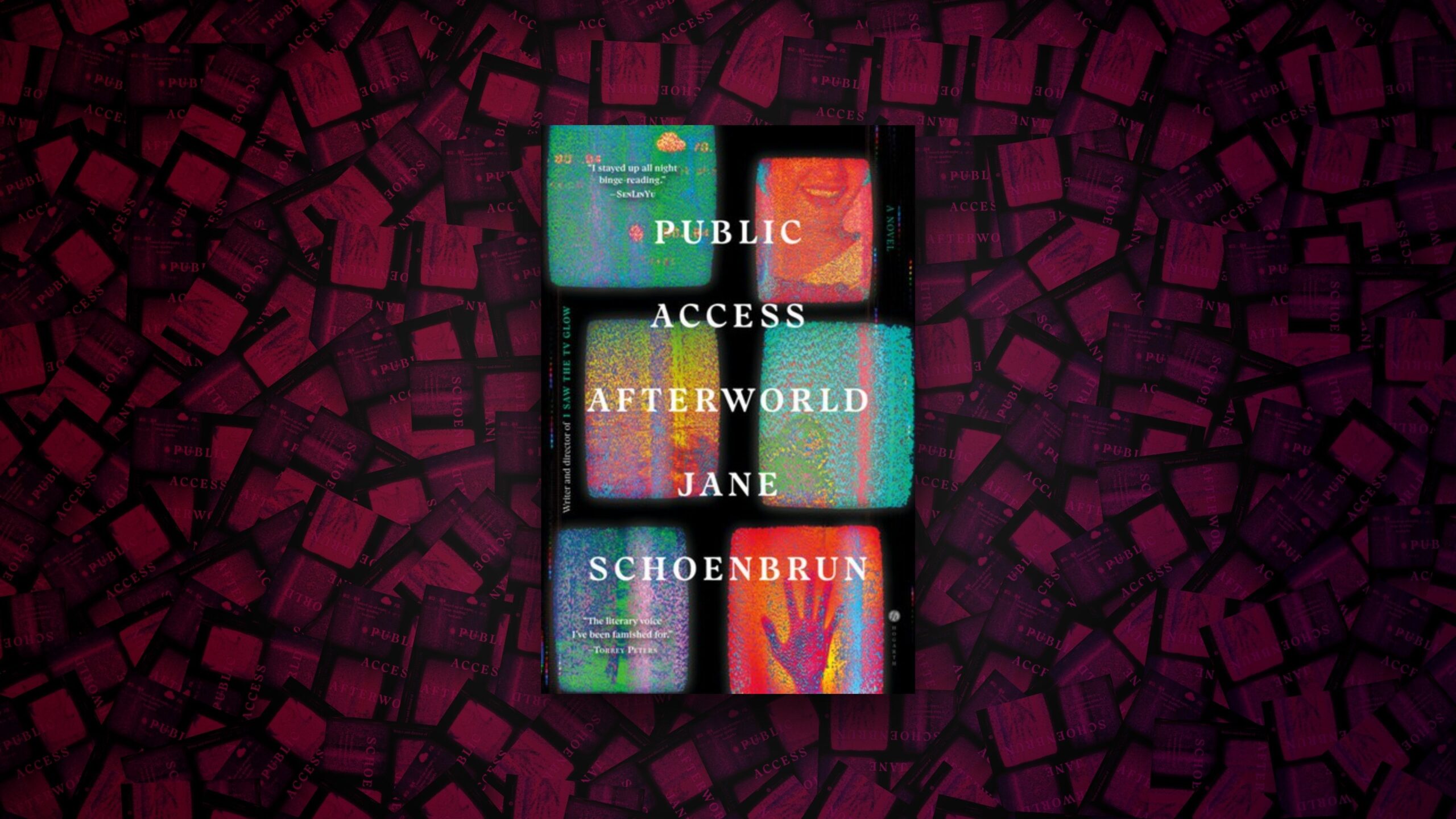 Public Access Afterworld cover