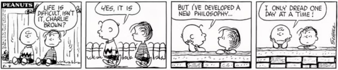 Peanuts Charlie Brown Linus life