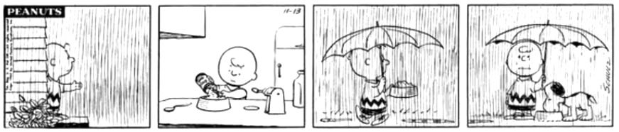 Peanuts Snoopy Charlie Brown