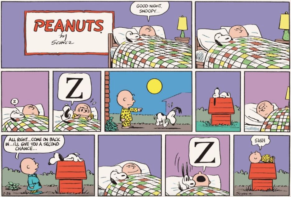 Peanuts Snoopy Charlie Brown