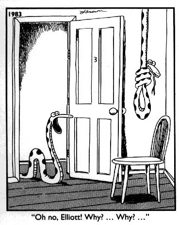 The Far Side Snake
