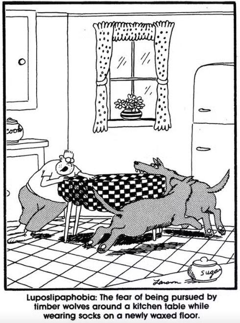 The Far Side Nerdy Kid