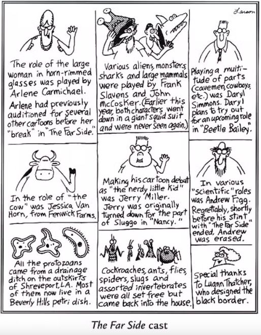 The Far Side Nerdy Kid cast