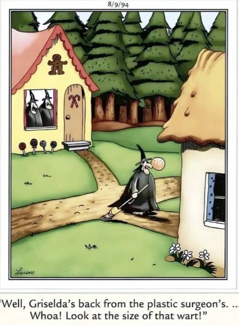 The Far Side witch witches