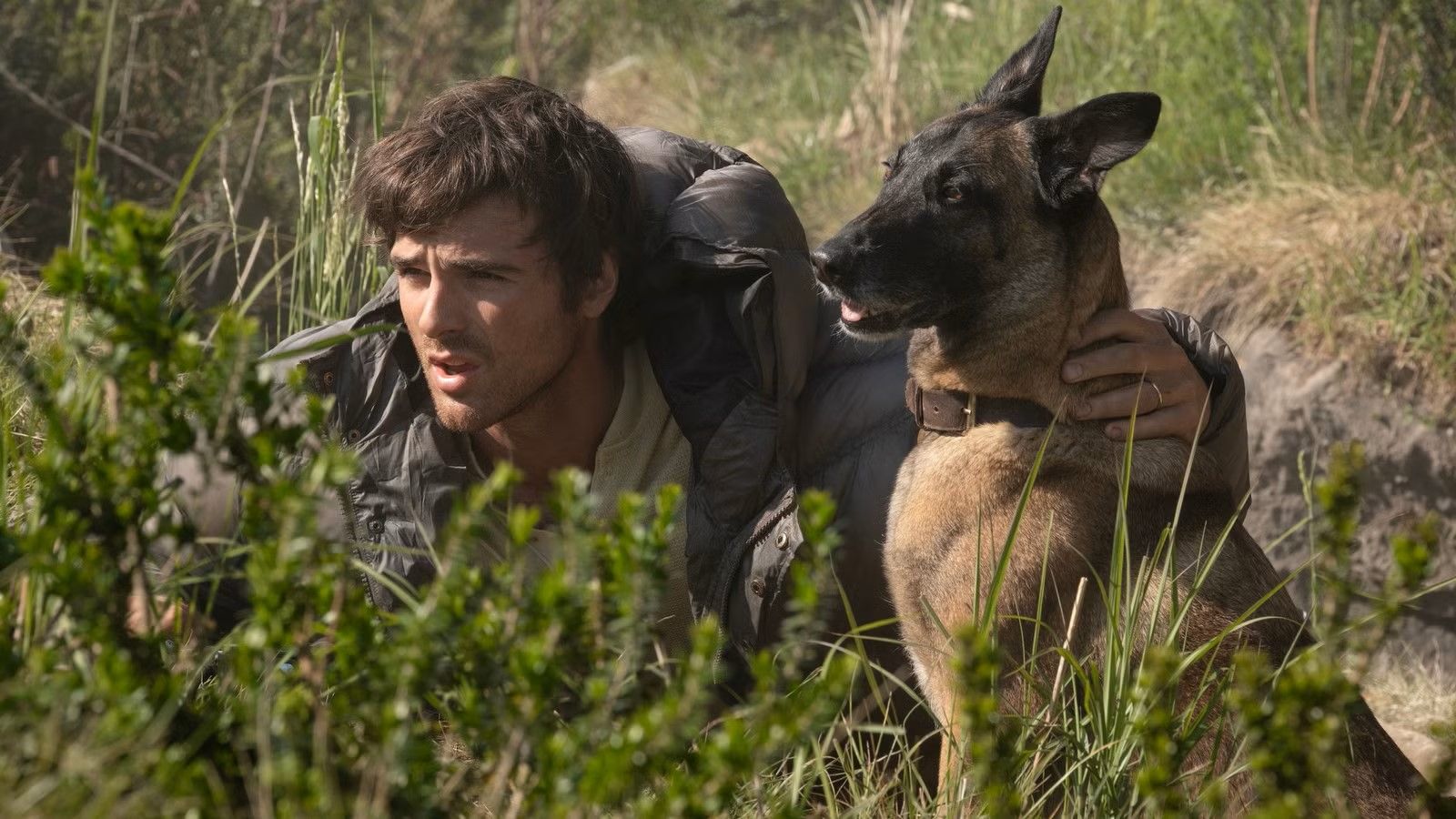 The Dog Stars Sets Digital and Blu-ray Release Dates